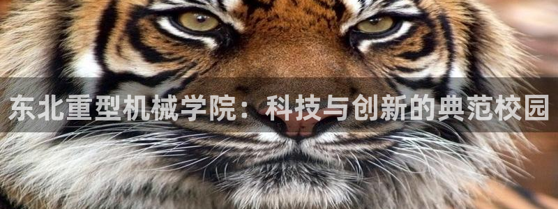 富联娱乐曼谷快三真假