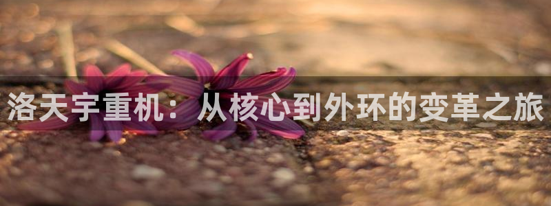 富联娱乐元哥