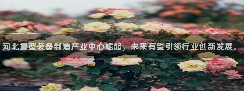 富联娱乐招商右判官333OO