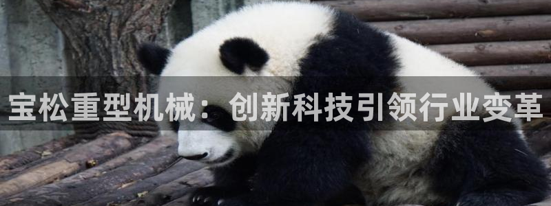 富联娱乐主营业务