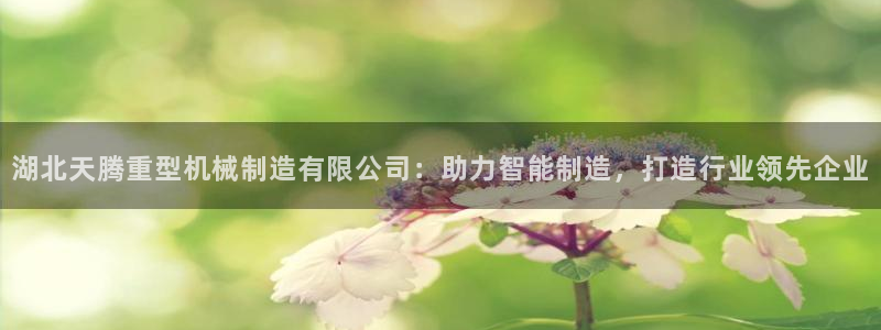 富联娱乐代理是谁做的
