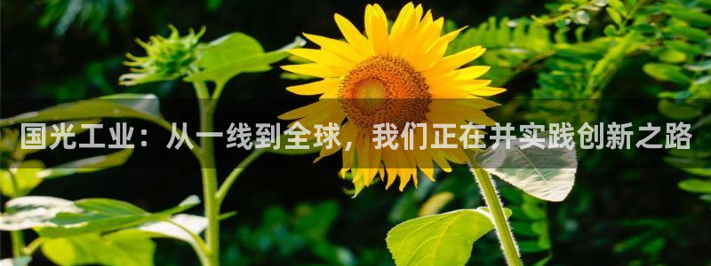 富联娱乐女团是谁的粉丝