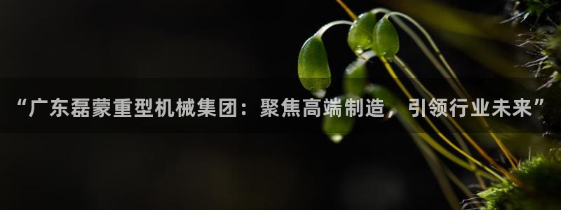富联娱乐总代理电话号码
