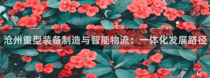 富联娱乐开户流程图解