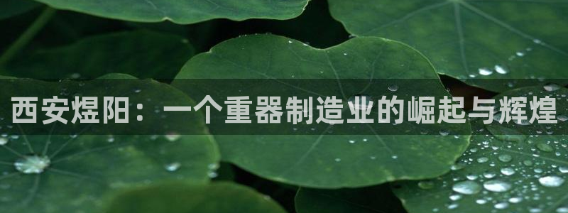 富联娱乐招商着判官333OO