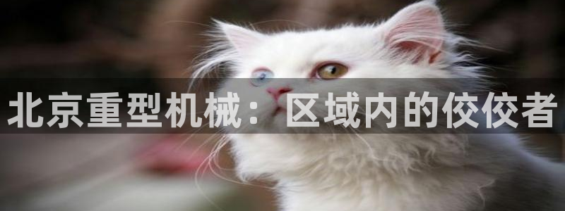 富联娱乐主管审判官333OO