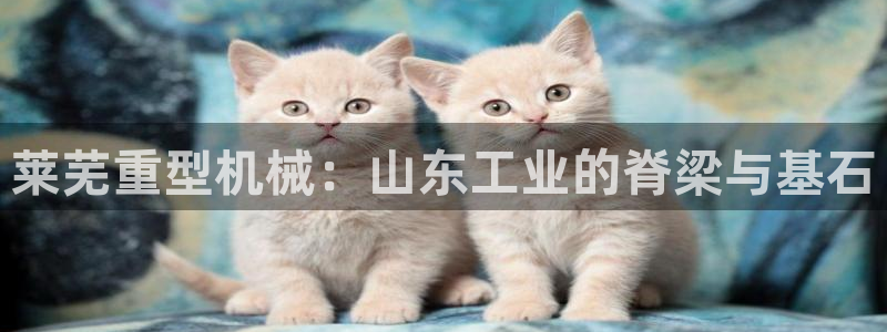富联娱乐app官方下载