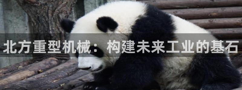 富联娱乐主管效判官333OO