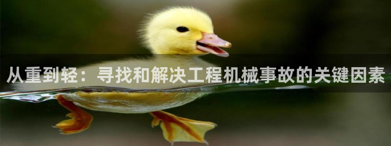 富联娱乐官方网站入口在线观看