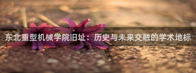 富联娱乐官方网站首页