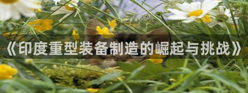 富联娱乐平台靠谱吗